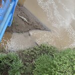 Photo taken by katie u