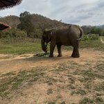 Photo taken by Brandon P