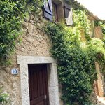 Photo taken by jane p