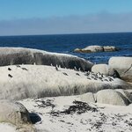 Photo taken by Crystall P