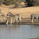 Photo taken by Paul B