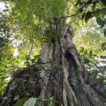 Photo taken by Charles H