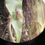 Photo taken by Alexia M