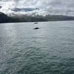 Photo taken by Donald M