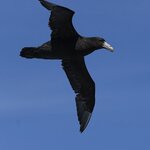 Photo taken by Eric T