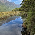 Photo taken by Iris W