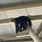 Photo taken by Marc A