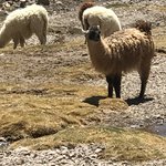 Photo taken by alton r