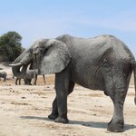 Photo taken by John B