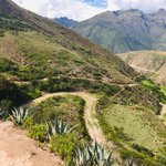 Bring it! | Photo taken by Matt M