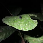 Photo taken by Breann B