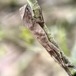 Photo taken by Mary D