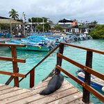 Photo taken by Lindsey F