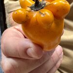 Photo taken by Ben B