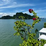 Photo taken by Mylan L