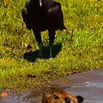 Photo taken by Dennis H