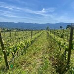 Photo taken by Kassie R