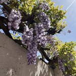 Photo taken by Joey R