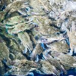 Photo taken by Kim C