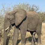 Photo taken by Joanne B