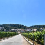 Photo taken by William R