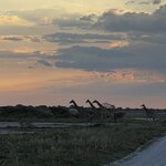 Photo taken by Peter L