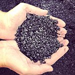 Photo taken by Lana M