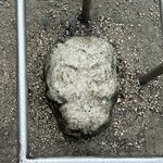 Photo taken by Imogen E