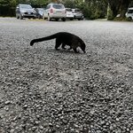 Photo taken by Tiphanny C