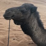 Photo taken by Margi S