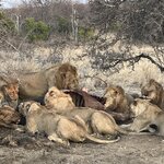 Photo taken by Janie W