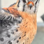 Photo taken by Sharon S