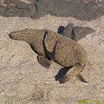 Photo taken by Richard P