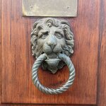 Photo taken by Kayla C