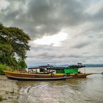 Photo taken by Terrence Y