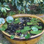 Photo taken by Peter J