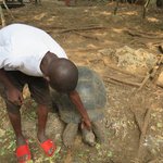 Photo taken by Kristin M