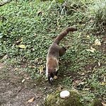 Photo taken by Patrice G