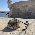 Photo taken by Kaisha S