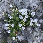 Photo taken by Heidi C