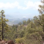 Photo taken by Dan C