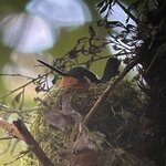 Photo taken by Kristen L