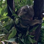 Photo taken by Julie H