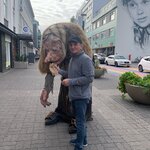 Photo taken by Kara R