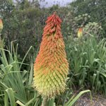 Photo taken by Julie H