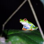 Photo taken by Jaya C