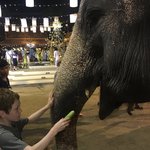 Photo taken by Brook D