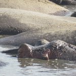 Photo taken by Kristin M