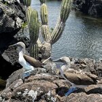 Photo taken by Lisa P