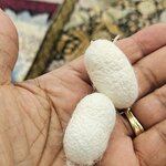 Photo taken by Rita W